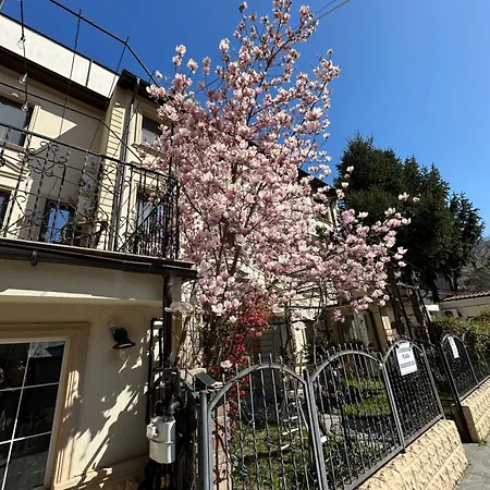 Hotel Boutique Cathedral Plaza Residences For Rent Downtown Bukarest