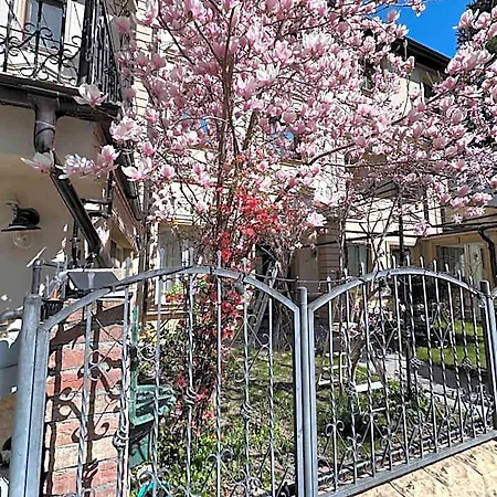 Boutique Cathedral Plaza Residences For Rent Downtown Hotel Bucarest